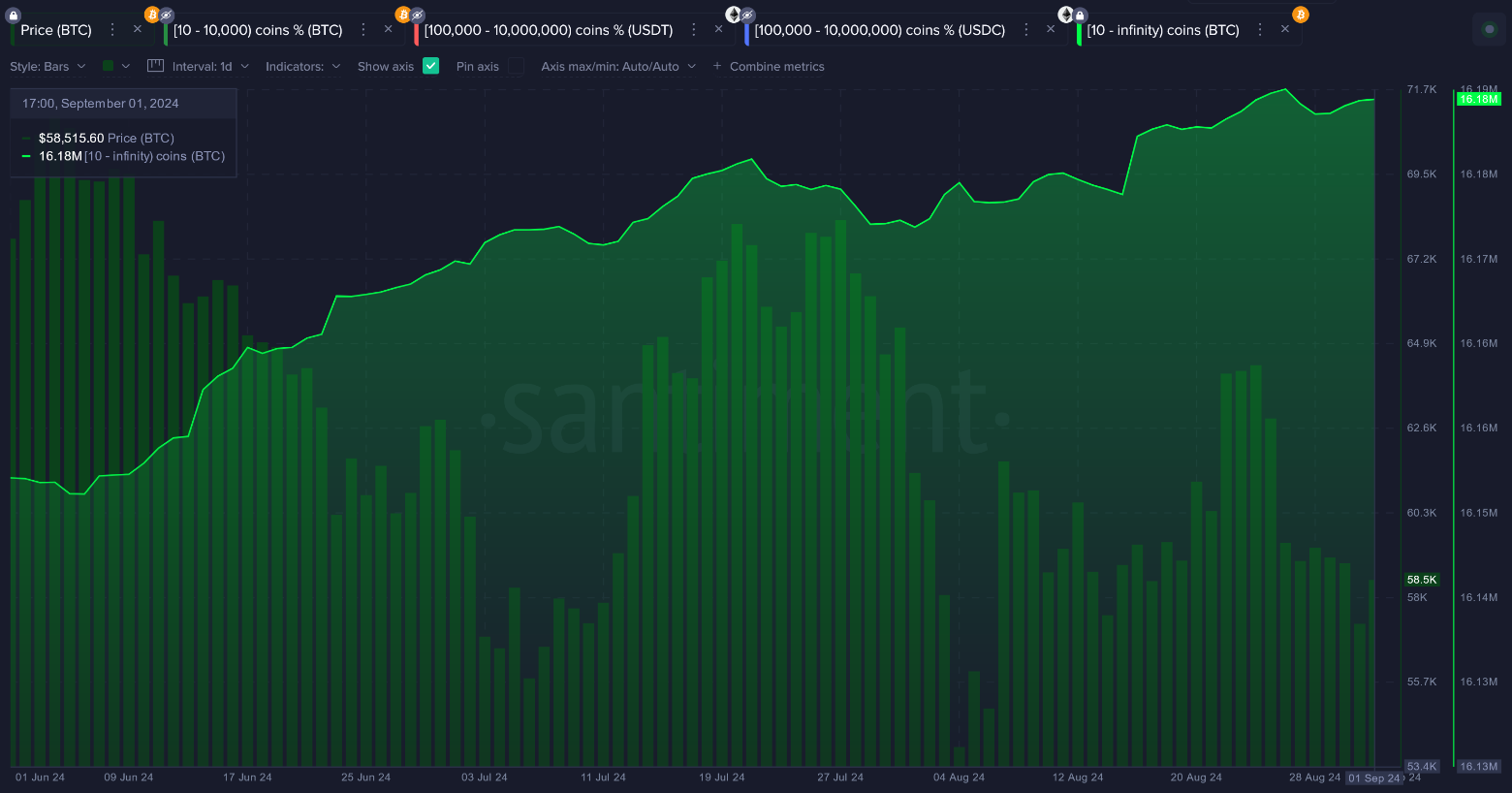 Bitcoin wallet holdings chart